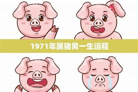 1971年属猪人的命运|1971年属猪是什么命 1971年属猪的是什么命